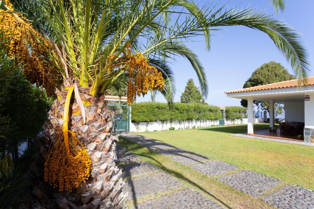 איקוד דה לוס וינוס Finca La Vizcondesa מראה חיצוני תמונה