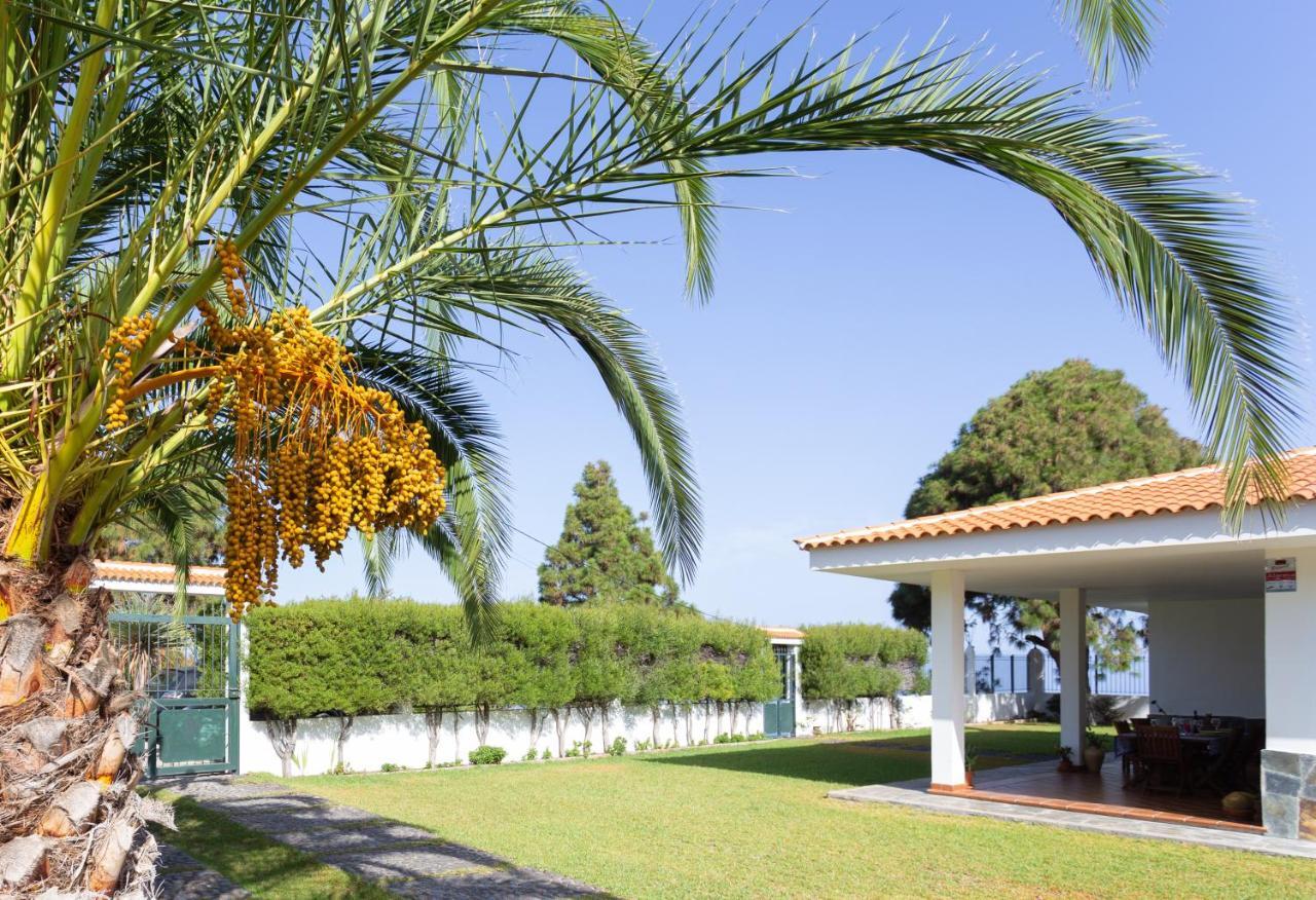 איקוד דה לוס וינוס Finca La Vizcondesa מראה חיצוני תמונה